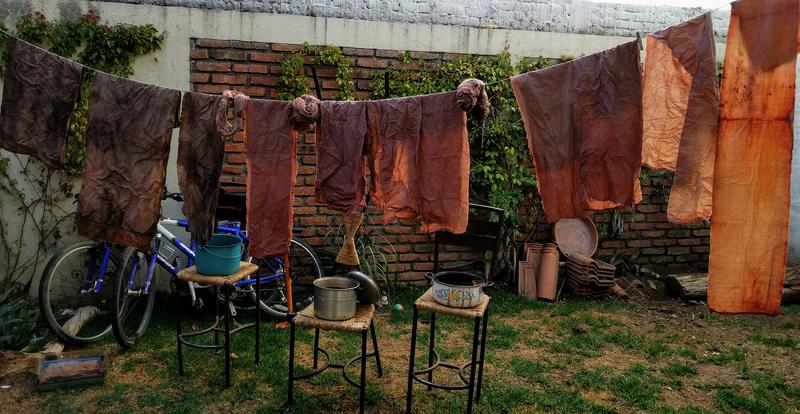 Dyeing cloth with avocado