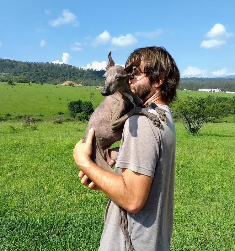 Hiking with old dogs