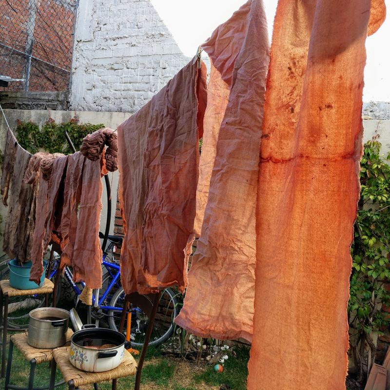 Dyeing yarn with plants