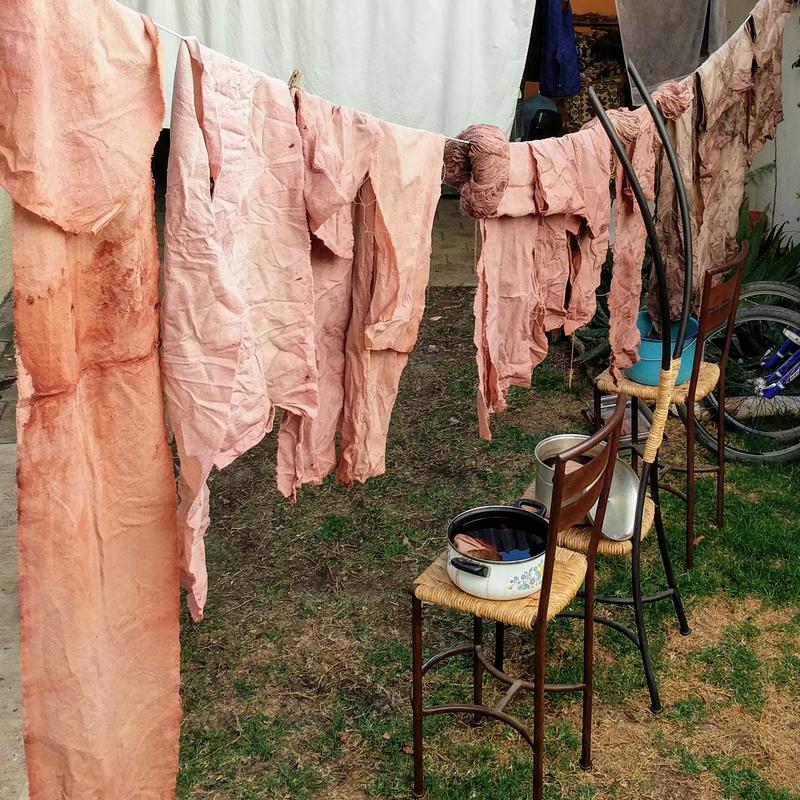 Dyeing yarn with plants