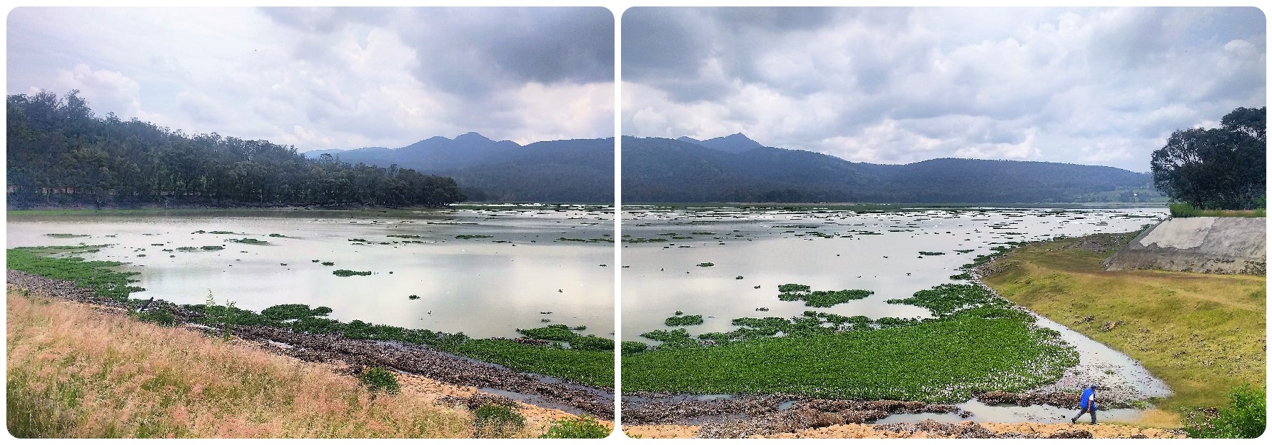 Presa de Cointzio